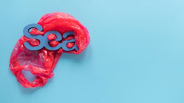 Illustration of brain and gut connection showing microbiome influence on cognitive health