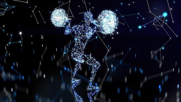 Diagram showing cardiovascular and muscular systems