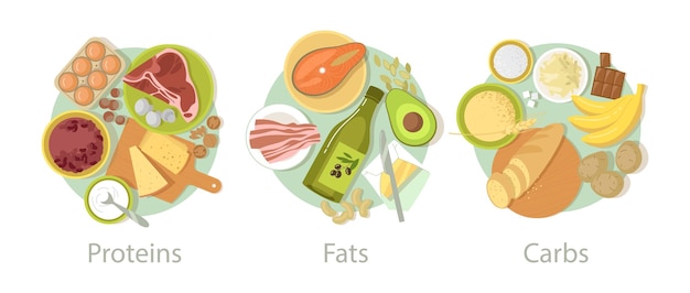 Sources of healthy fats on a low-carb diet