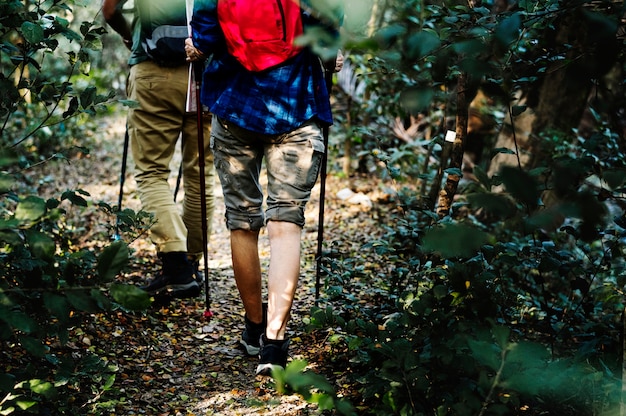 Person hiking on a forest trail