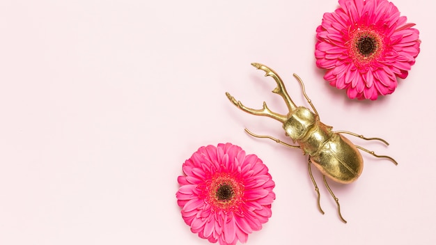 Close-up of a triatomine bug, also known as a kissing bug