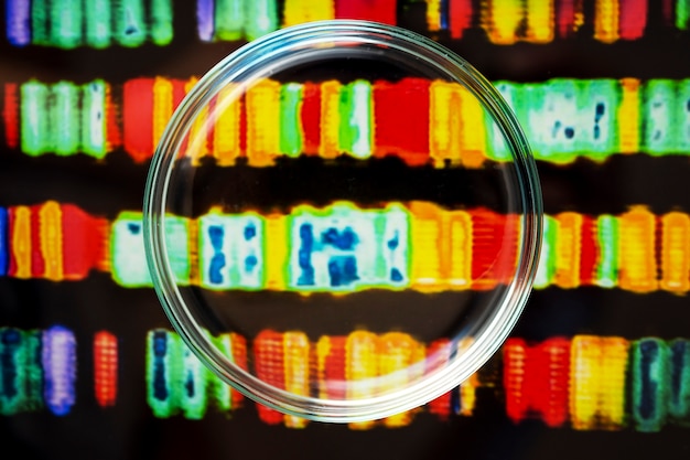 Visual portion estimation for macro tracking