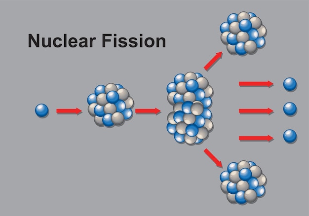 Diagram showing nanobody binding to prefusion glycoprotein B