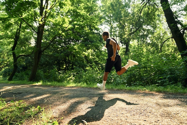 Runner navigating a forest trail