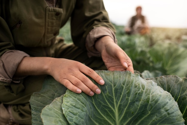 Farmers working in a diverse, sustainable crop field