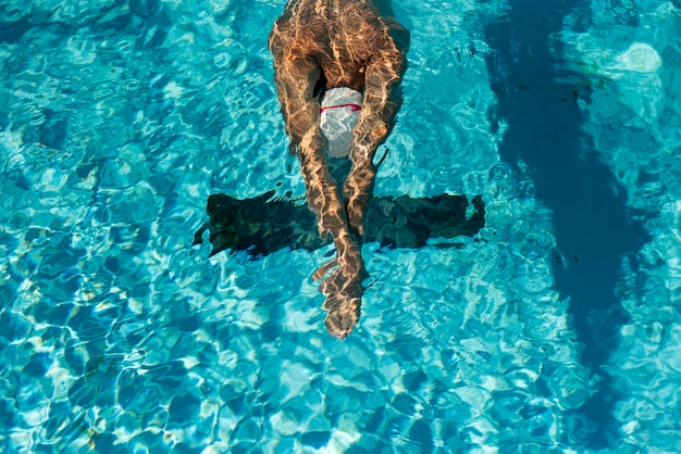 Swimmer performing freestyle in a lap pool