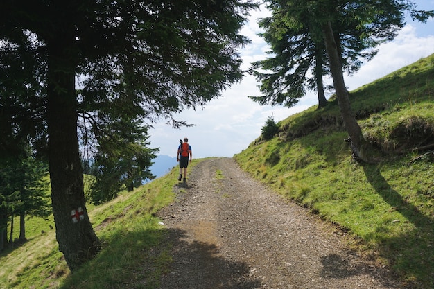Person walking on a scenic trail