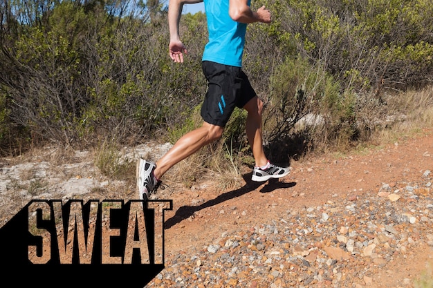 Weekend Warrior's Budget-Friendly Fitness Plan: Boost Heart Health in Less Time